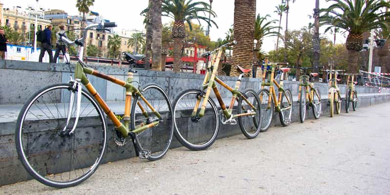 Bamboo Bike Tours — Foto 4
